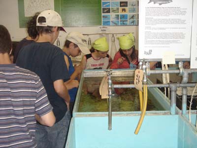 DSC02135_1