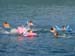 DSC02153_1